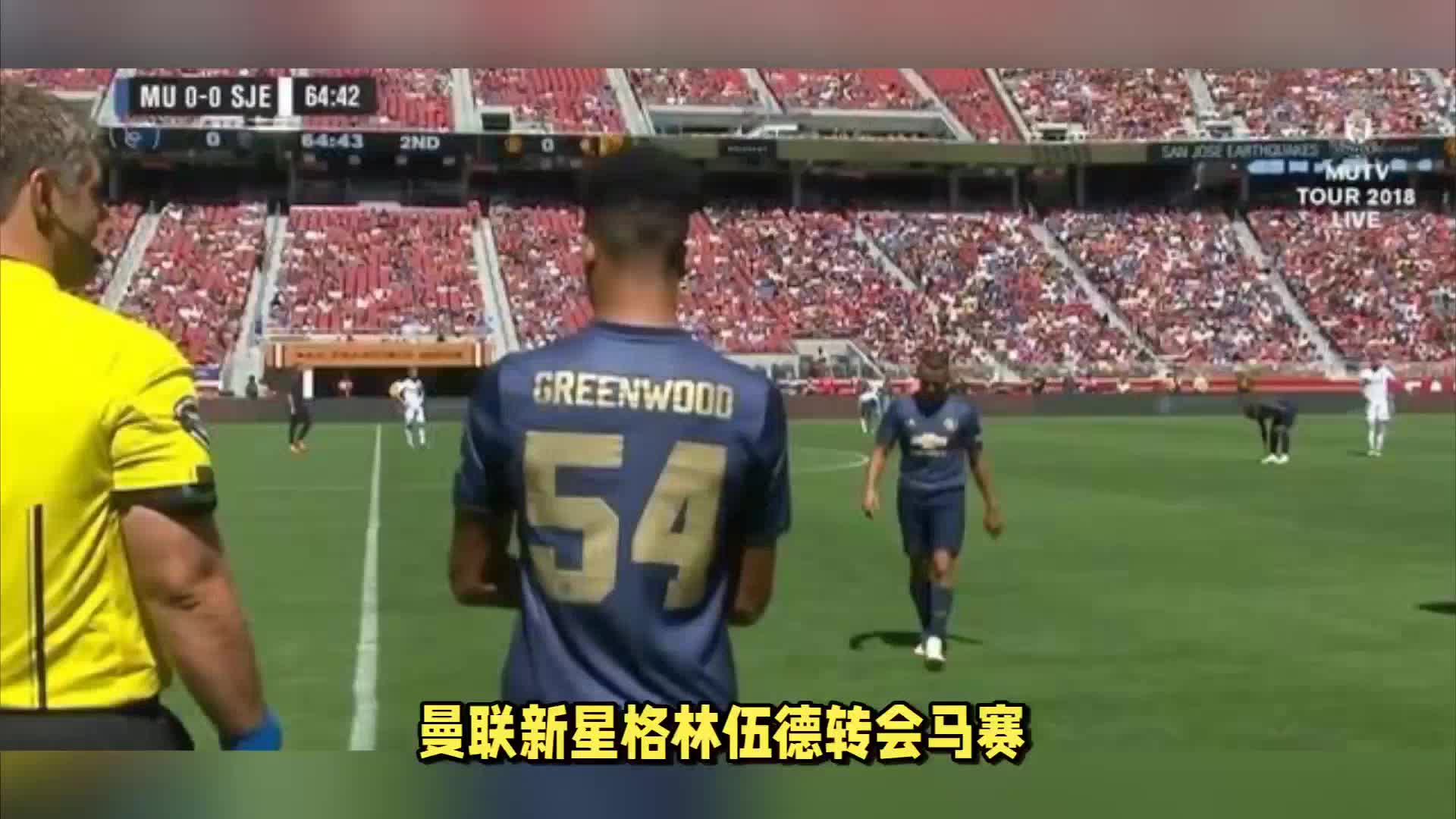 因意大利